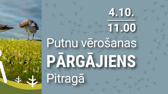Putnu vērošanas pārgājiena afiša