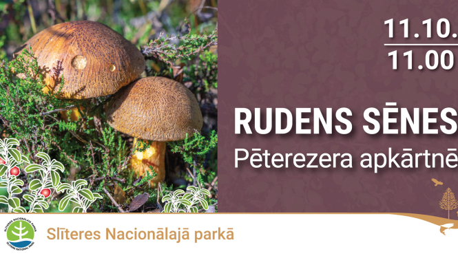 Rudens sēņu ekspedīcijas afiša