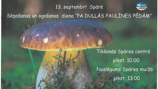 Sēņošanas dienas Spārē afiša