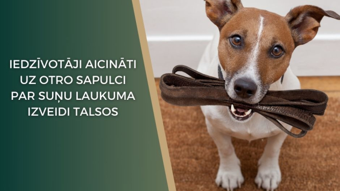 Tikšanās par suņu laukuma izveidi