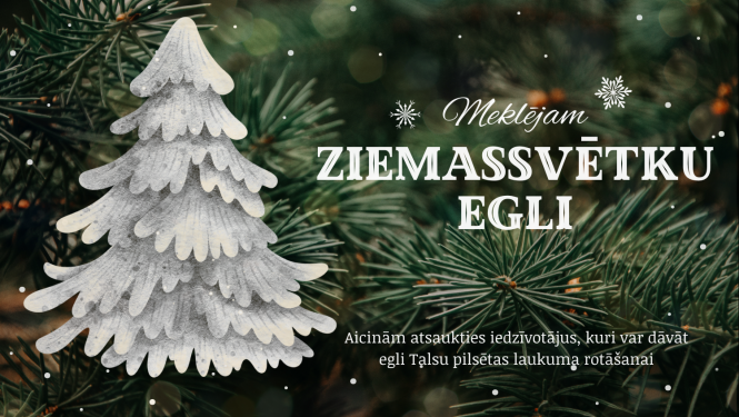 Iedzīvotāj, dāvini Talsiem Ziemassvētku egli!