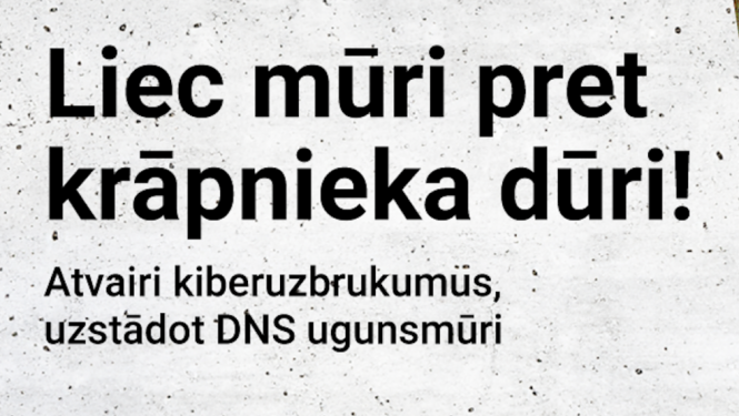 DNS ugunsmūra attēls
