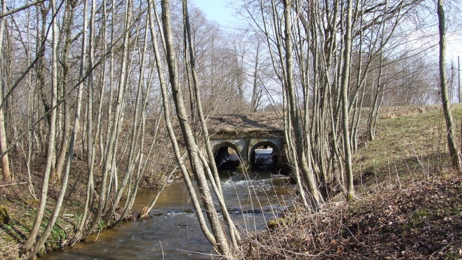 Dzelzupe