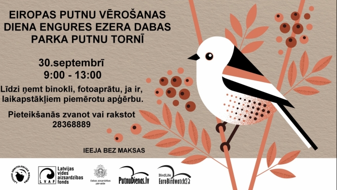 Eiropas putnu vērošanas diena Engures ezerā