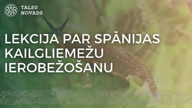 lekcija-kailgliemeži