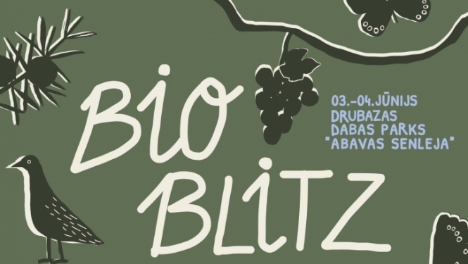 Diennakts sugu uzskaites zibakcija „Bio Blitzs” 
