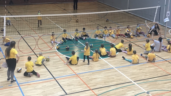 Sporta diena