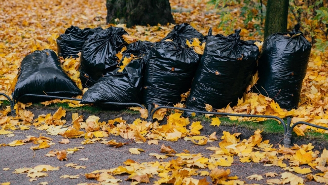 Maisi ar rudens lapām