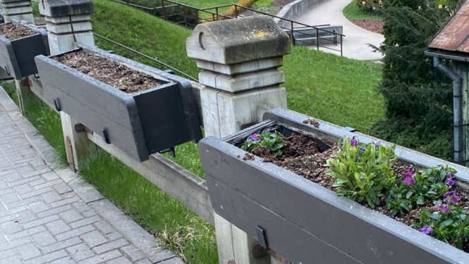 Saudzēsim Talsu pilsētas apstādījumus!