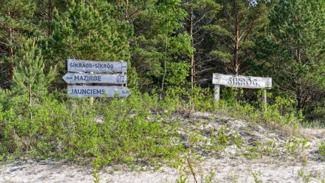 Sīkrags