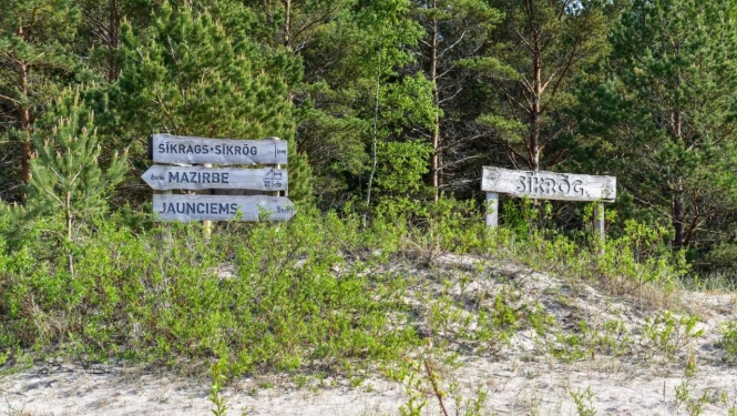 Sīkraga attēls