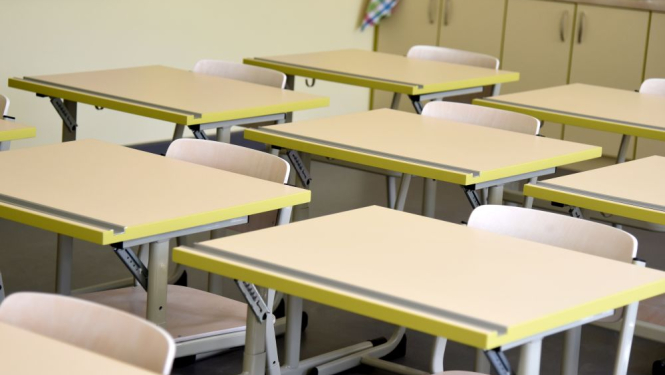 skola