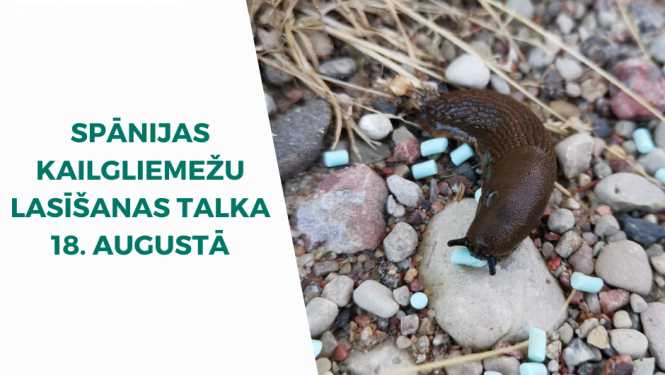 gliemeži