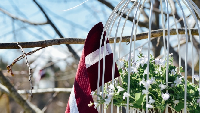 Noformējums (1)