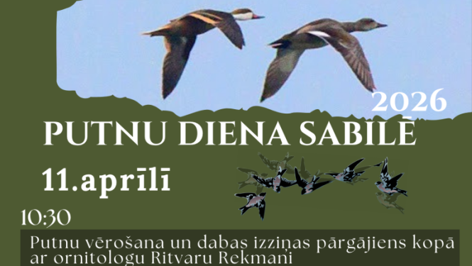 Putnu dienas Sabilē afiša