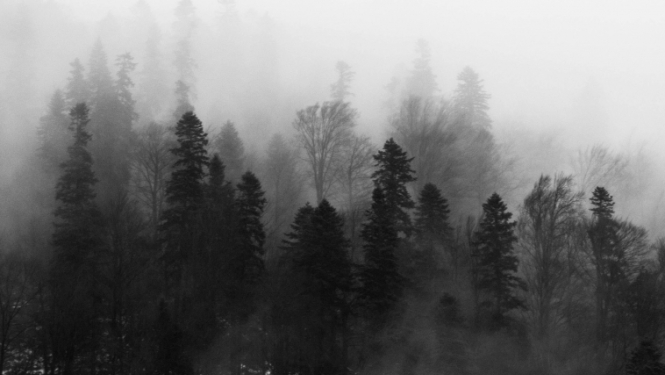 Komunistiskā genocīda upuru piemiņas dienas pasākumi 2024