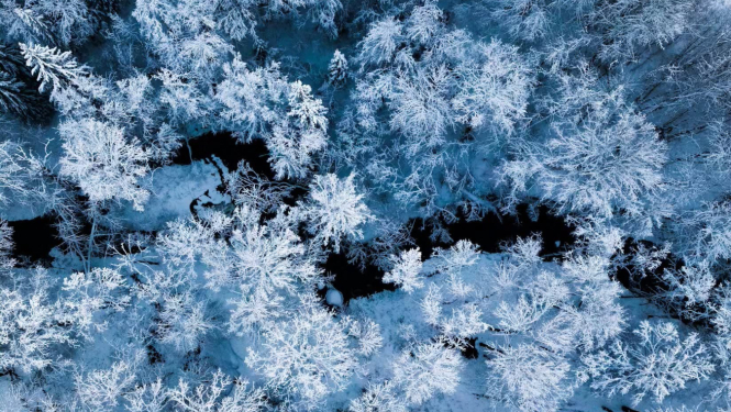 Abavas senleja. Foto: Artūrs Mengots