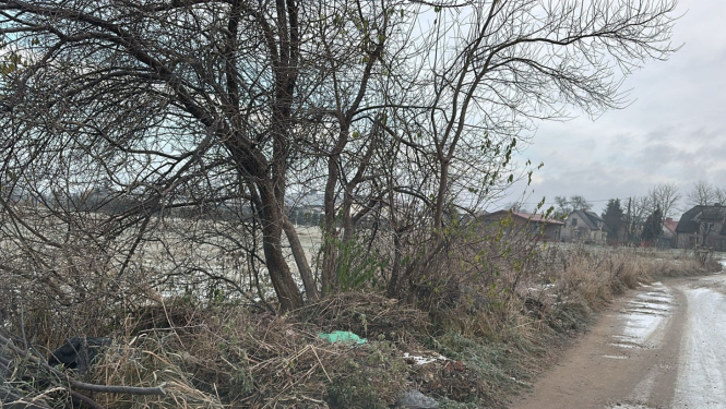 Dārziņu teritorija nesakopta