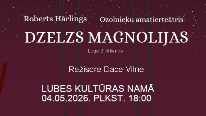 Izrādes Dzelzs magnolijas afiša