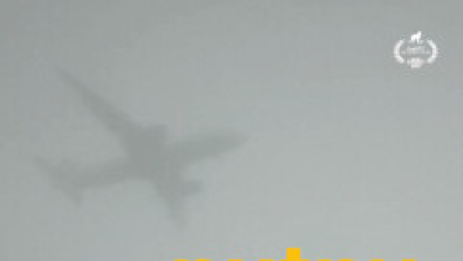 Kino afiša filmai Putnubiedēkļi