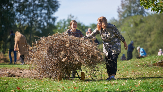 Lielā talka, ilustratīvs attēls