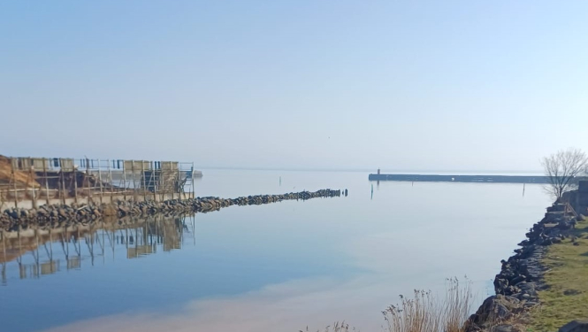 Rojas ostas teritorija