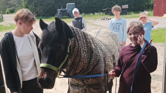 Pirmie soļi zirgkopībā un darbībās ar zirgiem