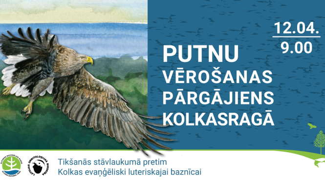 Putnu vērošanas pārgājiena Kolkasragā afiša