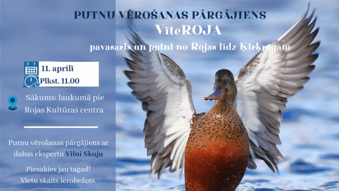 Putnu vērošanas pārgājiena Rojā afiša