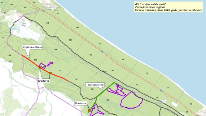 AS „Latvijas valsts meži” informē par mežizstrādes darbiem Rojā