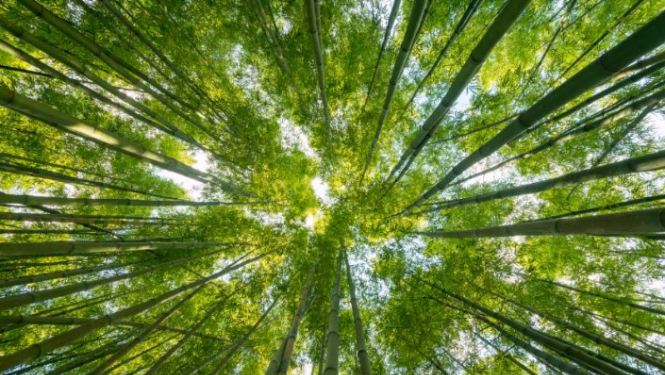 Talsu novada Pieaugušo izglītības dienās – praktiska nodarbība par dabai draudzīgu saimniekošanu