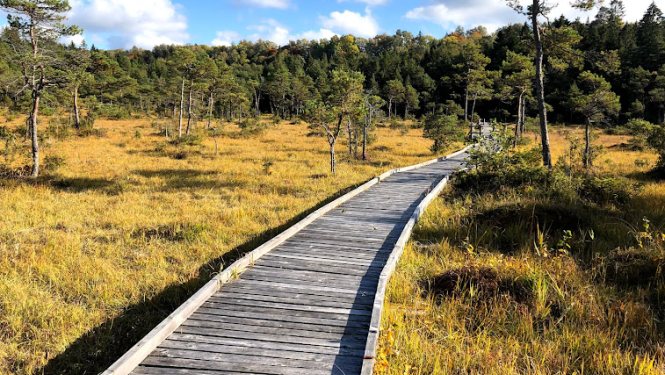 Slīteres dabas taka