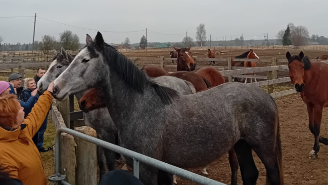 Talsu novada tūrisma nozares uzņēmēji pieredzes apmaiņas brauciens