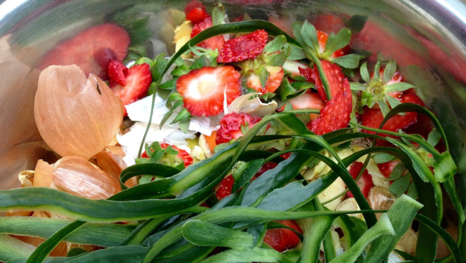 Bioloģiskie atkritumi