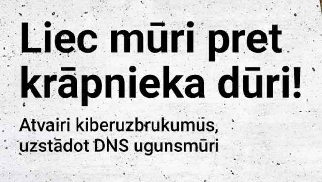 DNS ugunsmūra attēls