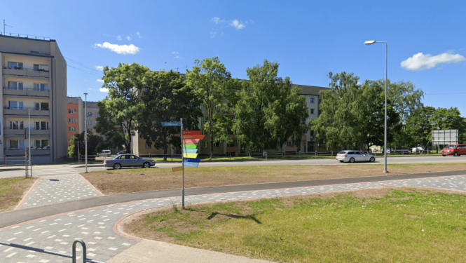 Koki Dundagas ielā, Talsos