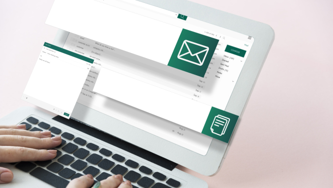 NIN sanemsana elektroniski