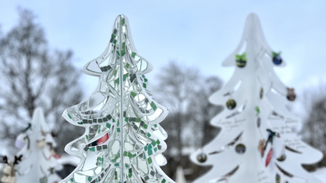 Ziemassvētku eglīšu parks Talsu ezera promenādē
