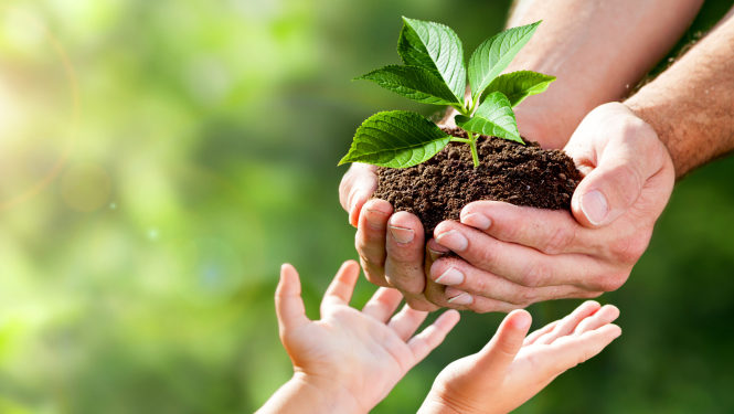 Izaugsme, veselības veicināšana, atbalsts – ilustratīvs attēls