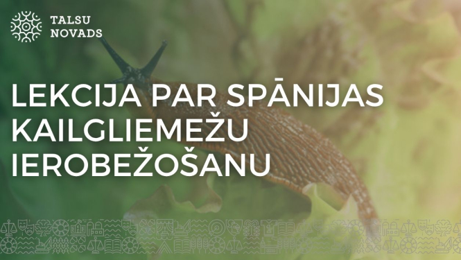 lekcija-kailgliemeži