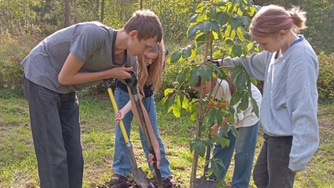 Meža dienas 2024 Rojā