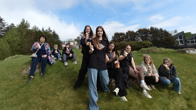 Projekts Fēru salās