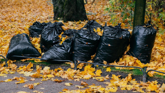 Maisi ar rudens lapām