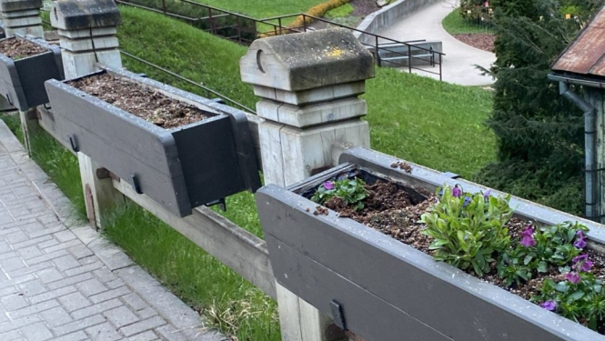 Saudzēsim Talsu pilsētas apstādījumus!