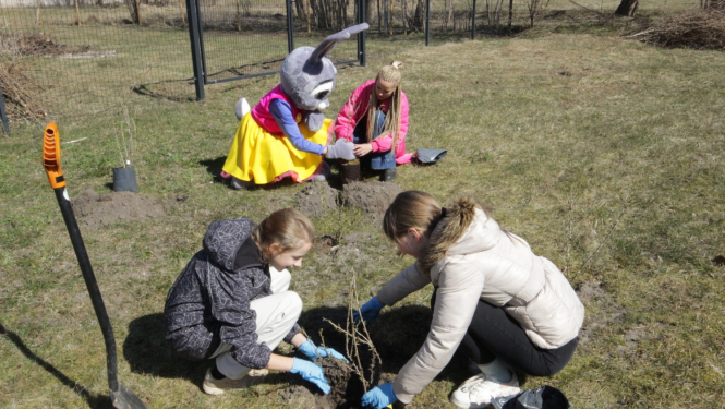 Foto ar skolēniem, kas stāda kokus