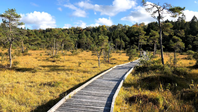 Šlīteres dabas taka