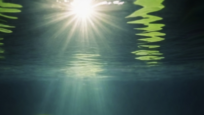 Uzsākta apsaimniekošanas noteikumu izstrāde Talsu, Vilkmuižas, Spāres ezeram un Mērsraga kanālam