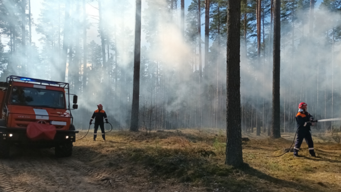 Attēlā redzami ugunsdzēsēji mežainā teritorijā, dzēšot ugunsgrēku vai veicot ugunsdrošības darbus. Kreisajā pusē redzama ugunsdzēsēju automašīna ar ieslēgtām bākugunīm, bet fonā starp kokiem izplatās dūmi. Divi ugunsdzēsēji aizsargtērpos strādā ar šļūtenēm.
