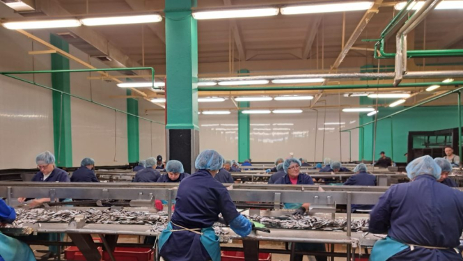 Delegācija apmeklē Talsu novada saimniecības