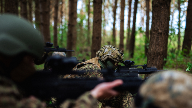 Zemessardzes mācības NAMEJS